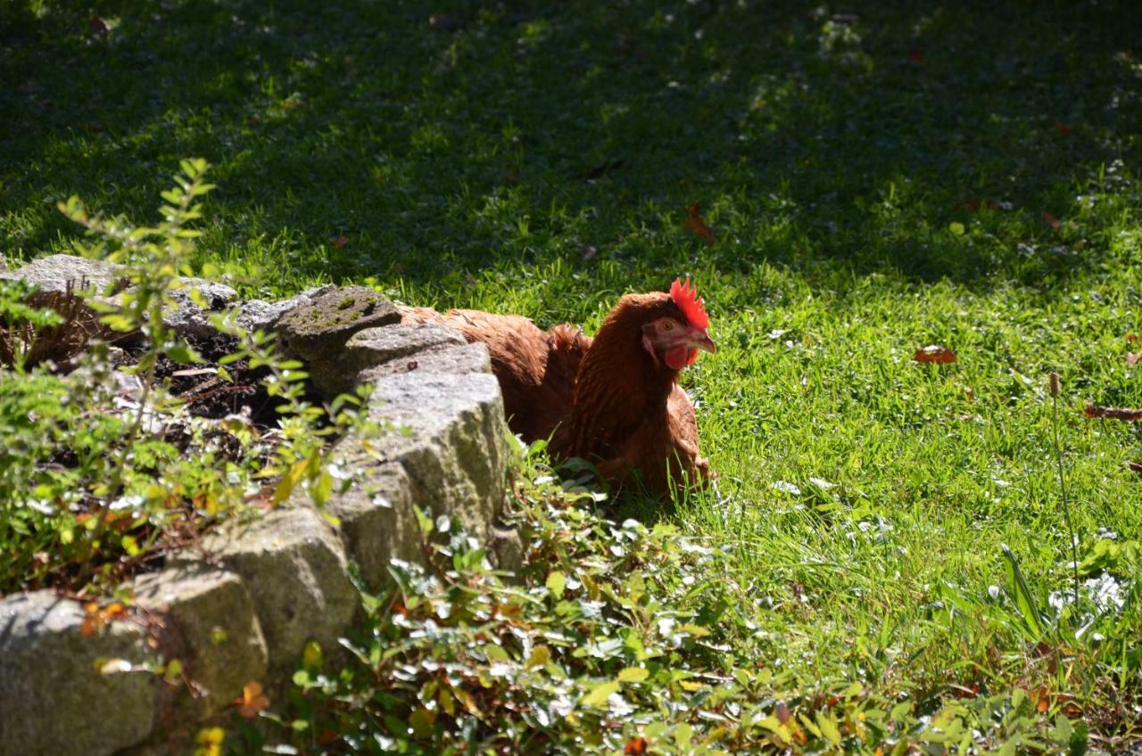 Pension Waldklause, Doppelzimmer Mit Balkon, Dusche, Wc Königssee Εξωτερικό φωτογραφία